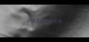 萨摩贵还是金毛贵
