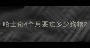 哈士奇4个月要吃多少狗粮