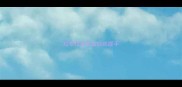 拉布拉多怎么训练握手