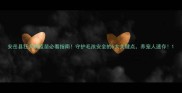 安岳县狂犬病疫苗必看指南守护毛孩安全的5大关键点养宠人速存