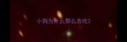 小狗为什么那么贪吃