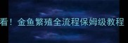 金鱼产卵时间表新手必看金鱼繁殖全流程保姆级教程附水质温度催产方法