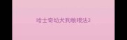 哈士奇幼犬狗粮喂法