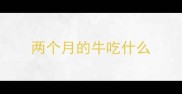 两个月的牛吃什么