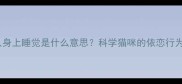 猫咪常趴在人身上睡觉是什么意思科学猫咪的依恋行为与情感表达