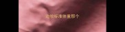 边牧标准体重那个