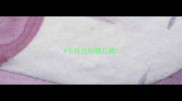 4个月边牧喂几顿