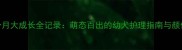 约克夏两个月大成长全记录萌态百出的幼犬护理指南与颜值飙升秘诀