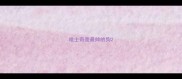哈士奇是最帅的狗
