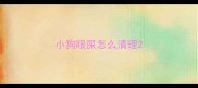 小狗眼屎怎么清理