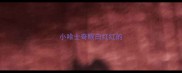 小哈士奇眼白红红的