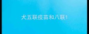 犬五联疫苗和八联