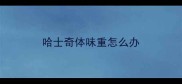 哈士奇体味重怎么办