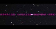 根除猫咪身上跳蚤专业驱虫全攻略与家庭护理指南附图解