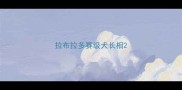 拉布拉多赛级犬长相