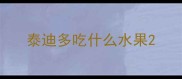泰迪多吃什么水果