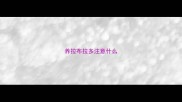 养拉布拉多注意什么