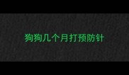 狗狗几个月打预防针