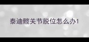 泰迪髋关节脱位怎么办