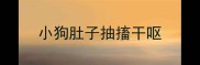 小狗肚子抽搐干呕
