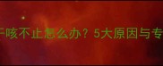 拉布拉多犬干咳不止怎么办5大原因与专业应对指南