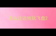 怎么让边牧玩飞盘