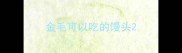 金毛可以吃的馒头