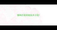 猫咪打疫苗驱虫多少钱