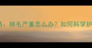 猫咪换毛期全攻略掉毛严重怎么办如何科学护理与饮食调整