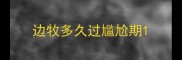 边牧多久过尴尬期