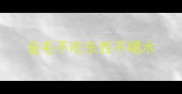 金毛不吃东西不喝水