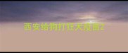 西安给狗打狂犬疫苗