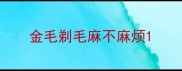 金毛剃毛麻不麻烦