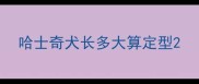 哈士奇犬长多大算定型