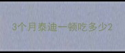 3个月泰迪一顿吃多少
