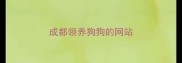 成都领养狗狗的网站