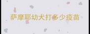 萨摩耶幼犬打多少疫苗