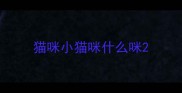 猫咪小猫咪什么咪