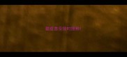猫疫苗没按时接种