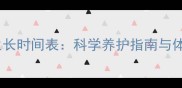 暹罗猫停止生长时间表科学养护指南与体重管理技巧