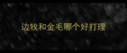 边牧和金毛哪个好打理
