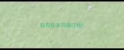 拉布拉多洗澡过程