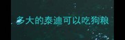 多大的泰迪可以吃狗粮