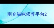南充猫咪领养平台