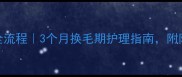 博美换毛全流程3个月换毛期护理指南附防掉毛秘籍