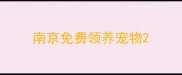 南京免费领养宠物