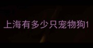 上海有多少只宠物狗