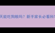 金毛幼犬20天能吃狗粮吗新手家长必看科学喂养指南