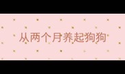 从两个月养起狗狗
