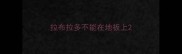 拉布拉多不能在地板上